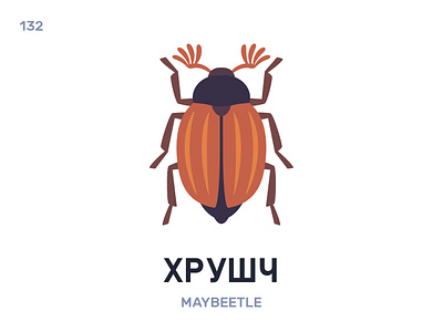 Хрушч / Maybeetle belarus belarusian language daily flat icon illustration vector