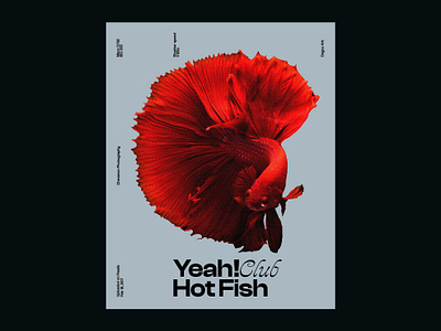 Hot Fish animal animation branding design fish font graphic design icon illustration illustrations logo pairing poster design posters red fish typeface typography ui ux vector