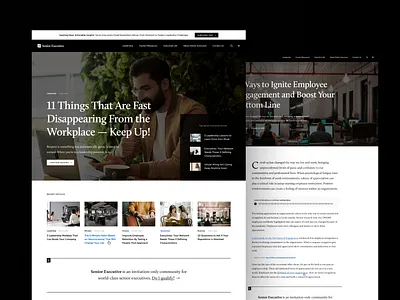 SeniorExecutive.com - Website Design black clean design minimalist website