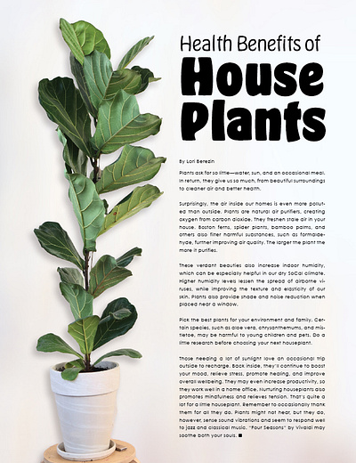 Editorial Layout on House Plants editorial layout graphic design magazine layout