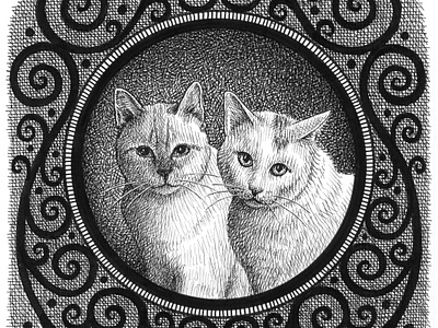 Cats animals art artist artwork cat drawing hand drawn illustration ink pets