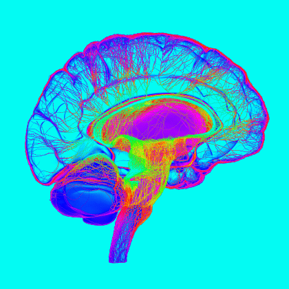 Neuroscience animation brain motion graphics