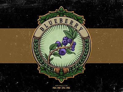 Blueberry Vintage Illustration set