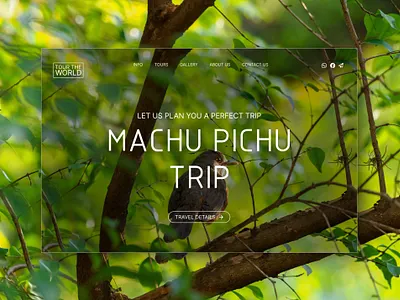 Travel planner agency website UI design 3d animation branding graphic design ui ux vector visual design visual identity