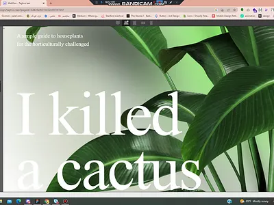 Webflow cactus animation ui webflow