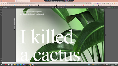 Webflow cactus animation ui webflow