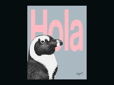 Hola animal blackpink branding cartoon design design inspiration graphic design icon illustration illustrator penguin photoshop poster poster art trademark typography ui ux vector