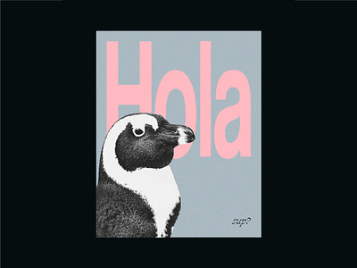 Hola animal blackpink branding cartoon design design inspiration graphic design icon illustration illustrator penguin photoshop poster poster art trademark typography ui ux vector