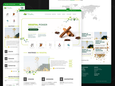 Phytosynthèse - Webdesign adaptative design agroalimentaire animals design green pharma ui webdesign