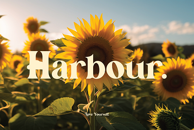 Harbour aesthetic ai app branding design illustration logo midjourney ui ux