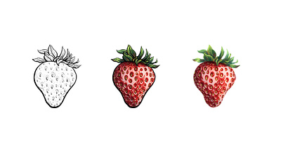 Strawberry Sketch illustration photoshop sketch strawberry