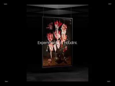 Experiments in Houdini 3d 3d illustration 3dartwork animation arki ballon blender c4d cgi cinema4d cloth design houdini motion design motion graphics pain reel render simulations softbodies