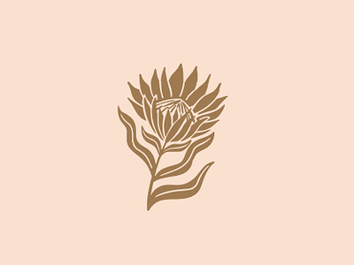 Protea illustration bloom boho branding floral flower hand hand drawn illustration linocut logo procreate protea reverse south africa texture vector