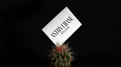ASTON CHASE advertising branding businesscard design graphic design idenity illustration logo typography visual