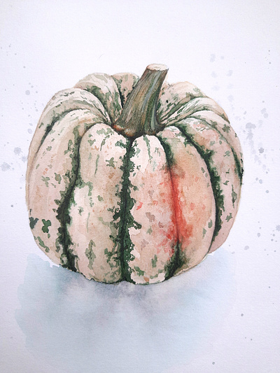 Squash illustration pumpkin squash watercolor watercolor painting