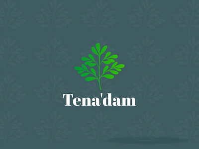 Tena'dam - Brand Identity Design branding graphic design logo