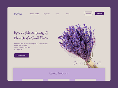 Flower bouquet shop ui ux web design