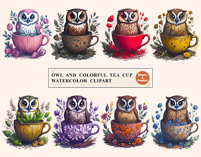 Owl and Colorful Tea Cup Watercolor Cliparts chibi owl clipart design digital art digital download graphic design illustration png watercolor watercolor chibi owl clipart watercolor flower cup and owl watercolor flower tea cup watercolor owl watercolor owl and flowers watercolor owl clipart watercolor owl in floral tea cup watercolor teacup