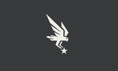 Falcon & Star logo design animal branding classic clothing eagle flacon hawk hunting logo mark minimal minimalist range real estate shooting simple sport vector