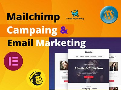 You will get a complete setup of Mailchimp automation businesswebsite ecommerce elementorlanding emailmarketing mailchimpautomation mailchimpcampaign mailchimplanding mailchimptemplate responsivewebsite squeezepage woocommerce wordpress wordpresslanding wordpresswebsite