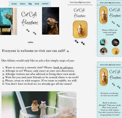 Cat Café Purritanes - FAQ design ui ux