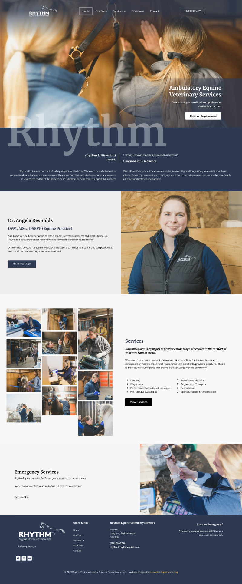 Finished Equine Veterinary Website branding elementor graphic design ux web design wordpress
