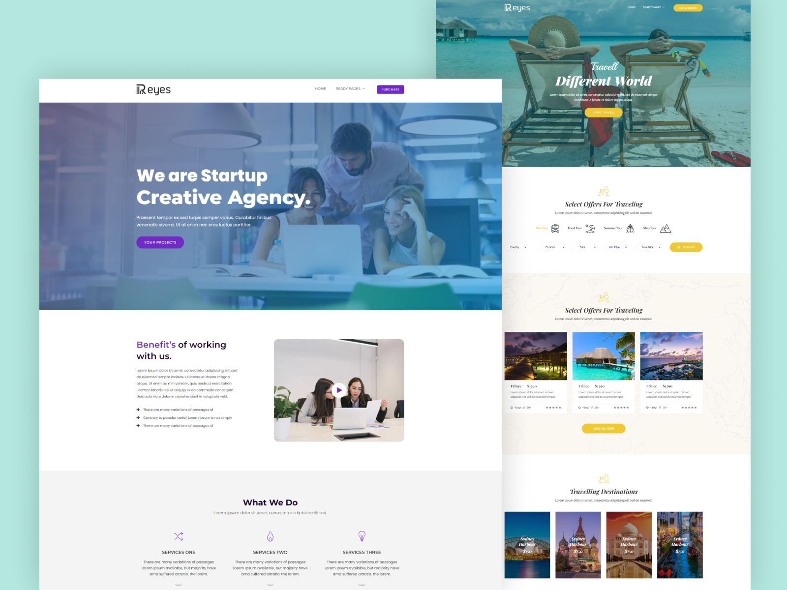 HasThemes | Dribbble