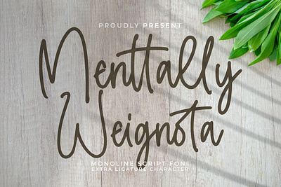 Menttally Weignota - Monoline Script Font vintage