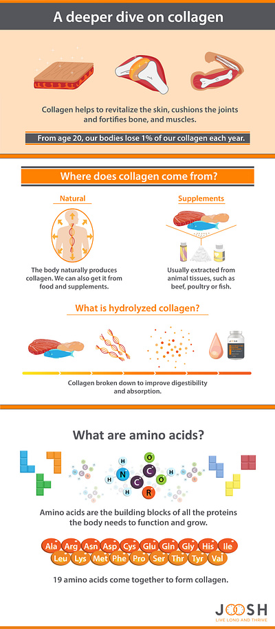 Infographic: What is collagen? design graphic design infographic ui