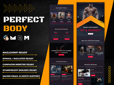 Perfect Body – Fitness Email Template email gym coach responsive template