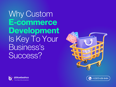 The Power of Custom E-commerce Development for Business Growth branding design ehr software graphic design illustration vector