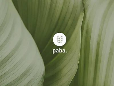 Paba Identity Design branding design fashion graphic design logo ui
