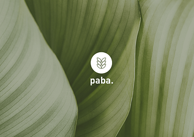 Paba Identity Design branding design fashion graphic design logo ui