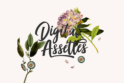 Digital Assettes - Logo art direction branding crypto crypto for women cryptocurrency design flower logo illustration logo photoshop