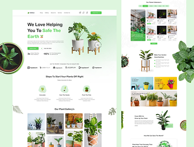 Indoor Decoration app branding ecommerce app graphic design hero area design indoor decoration website landing page design landing page ui online shop plant plant app plant decorate plant sell plant shop plant shop website plant store ui ui ux design ui design website