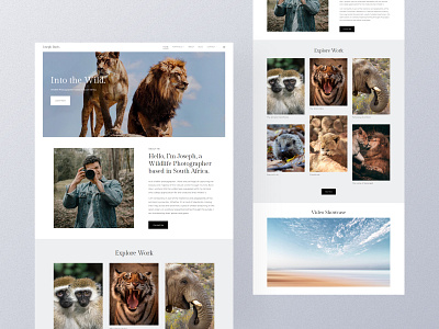 Expand - A Template For Photographer pixpa template visual storytelling wildlife wildlife photography