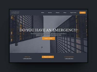 Plumbing Executive Landing page shot design ui