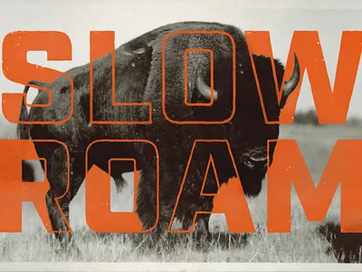 Slow Roam bison buffalo slow roam texture typography vintage photo western
