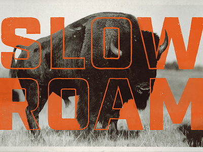Slow Roam bison buffalo slow roam texture typography vintage photo western