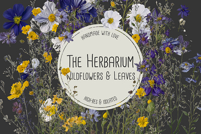 The Herbarium: Dried Wildflowers, Leafs & Plants Collection bloom botanic bouquet clipart colorful drawing fine art floral florist flower garden handcrafted handmade illustration leafs plants watercolor wildflower wreath
