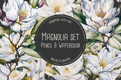 Magnolia Pencil and Watercolor Set bloom blooming blossom botanic botanical bouquet clipart colorful design drawing fine art florist flower graphic design handcrafted handmade illustration magnolia pecil white