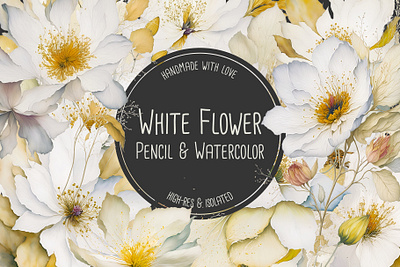 White Flower Pencil and Watercolor Set bloom blooming blossom botanic botanical bouquet clipart colorful design drawing fine art floral flower flowers illustration plant spring summer white wildflower