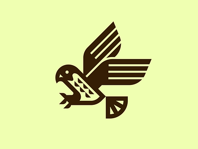 Soarin bird branding design eagle falcon geometric hawk identity illustration logo mark vector