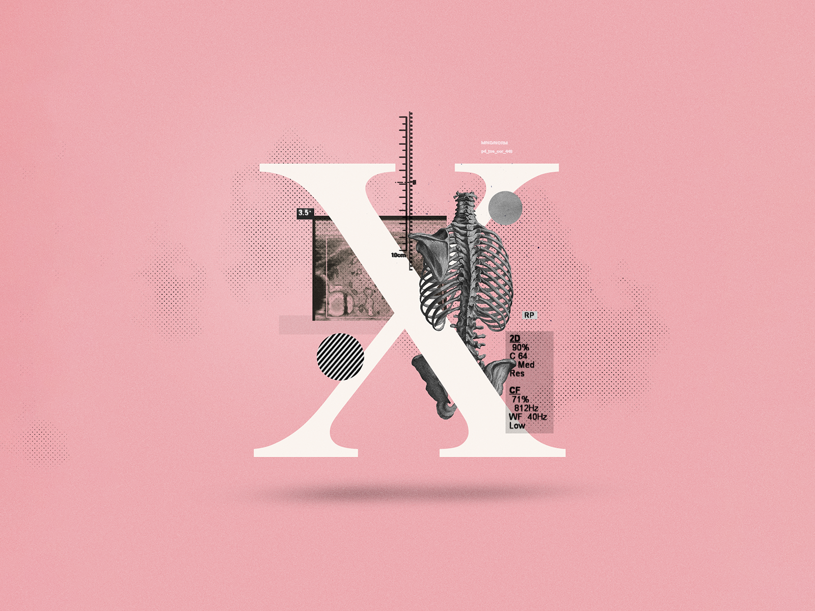 X - Xray by Tommaso D'Angelosante on Dribbble