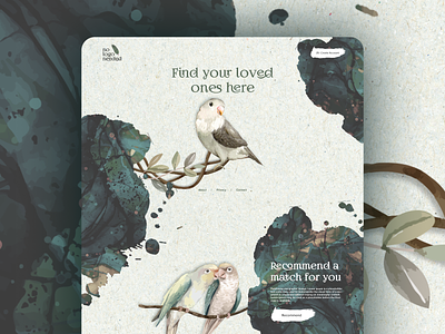 Date Birdy Match Making Website Concept 🥰 behance bird branding clean design dating design dribbble green illustration logo love match modern thebestdesign ui vector website