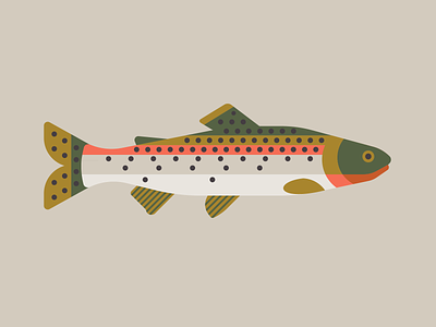 Trout alaska bait canada fin fish fisher fisherman fishing idaho illustration illustrator oregon pattern pnw rainbow rainbow trout trout vector washington