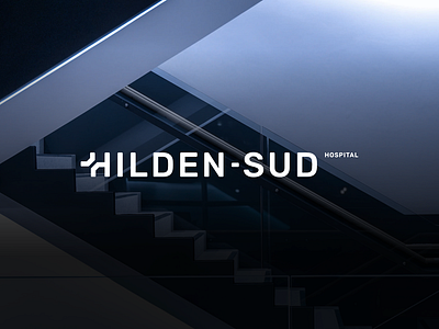Hilden-Sud Hospital app brand branding brasil care design health hospital icon illustration logo vector