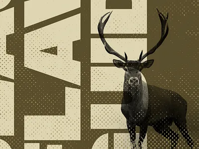 Brochure WIP brochure design photoshop