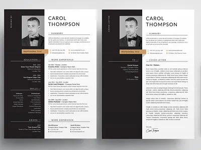 Resume/CV Template resume clean