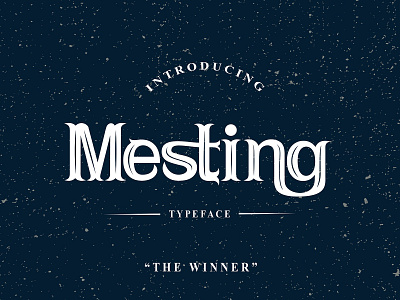 Mesting Font serif